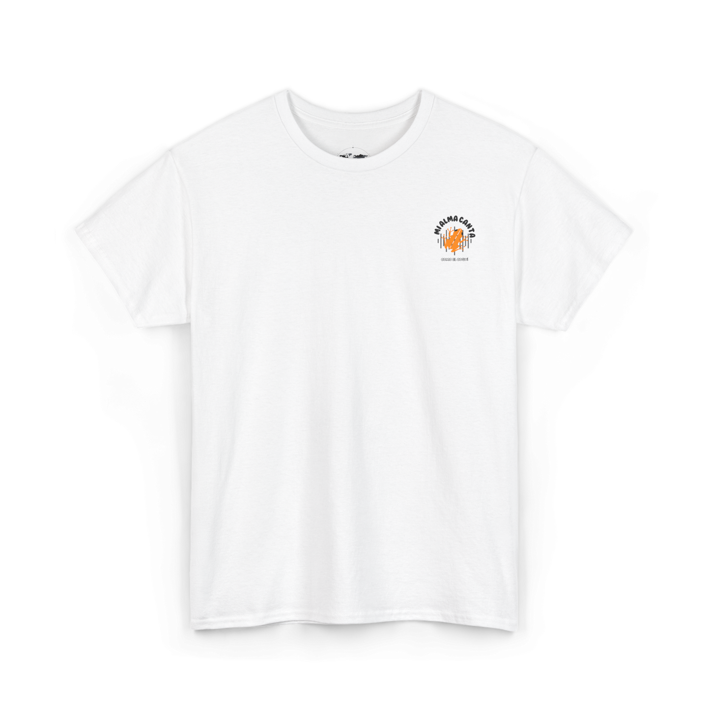 Camiseta unisex Puerto Rico - Mi alma canta como el coquí - Almas sin fronteras