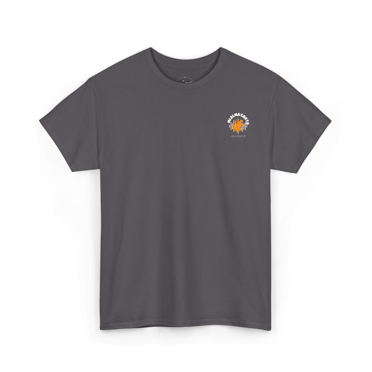 Camiseta unisex Puerto Rico - Mi alma canta como el coquí - Almas sin fronteras